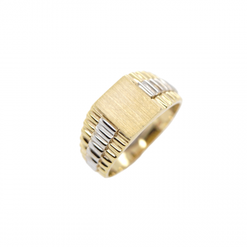 Δαχτυλίδι Αντρικό Δίχρωμο σε Χρυσό Κ14